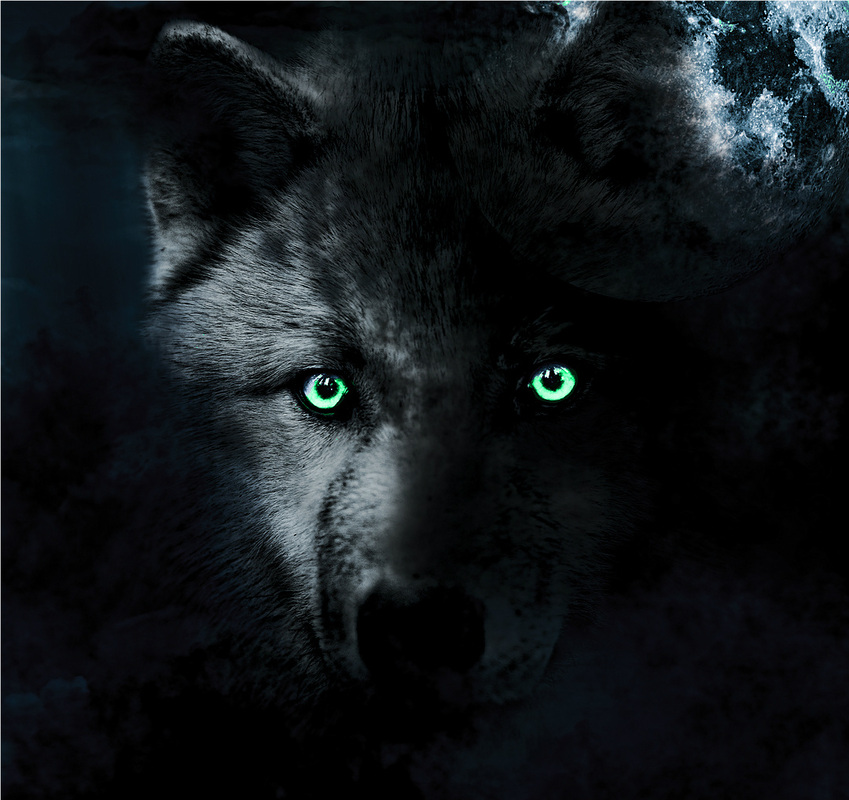 Anime Black Wolf With Green Eyes